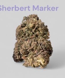 SHERBERT x MARKER 28g OZ ON SALE INDICA 26%THC 🔥🔥