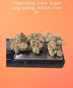 FATSO 3.5g INDICA EXOTICS 36%THC🏆🏆(AIMS) RARE