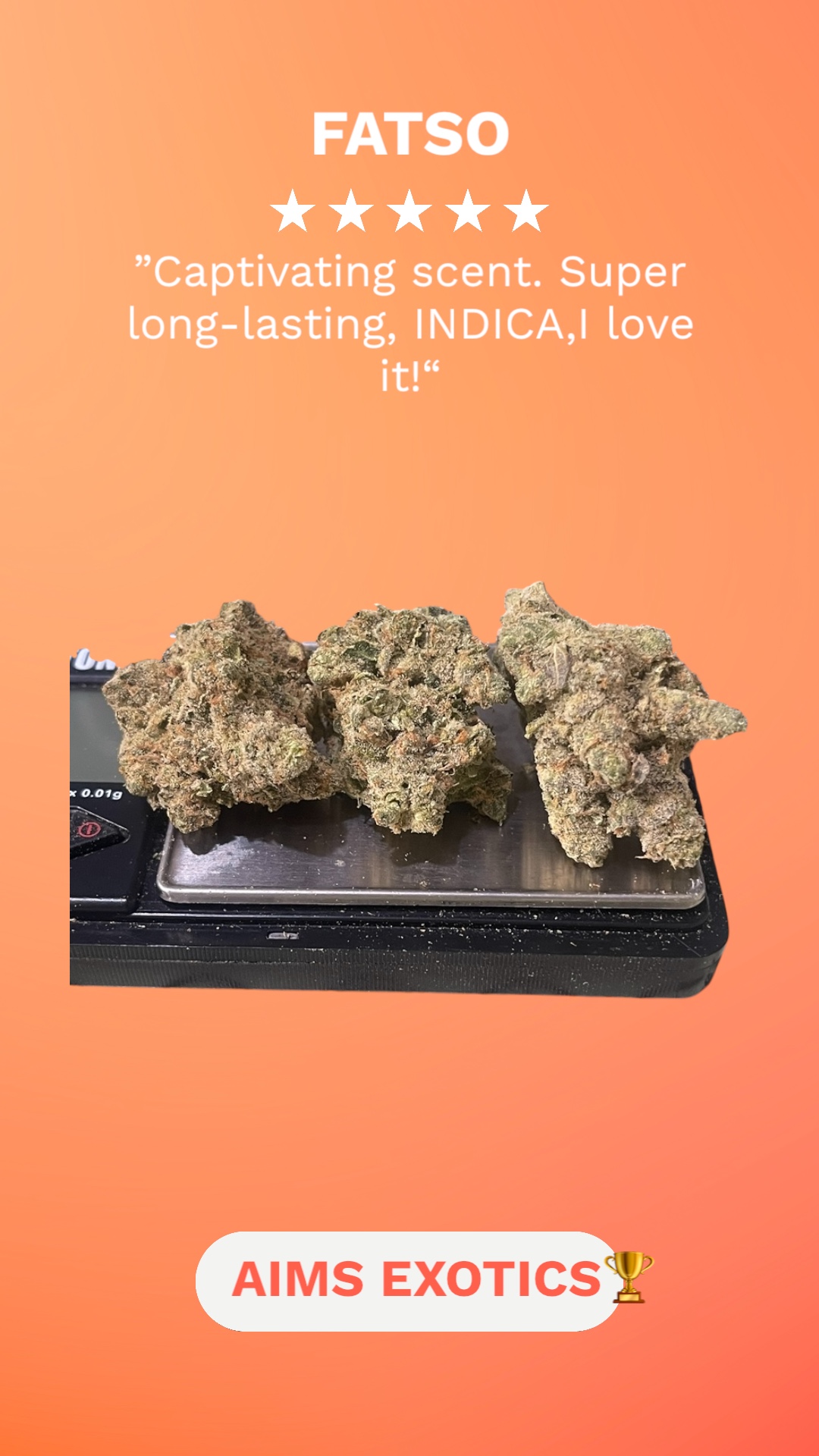 FATSO 3.5g INDICA EXOTICS 36%THCππ(AIMS) RARE FATSO 3.5g INDICA EXOTICS 36%THCππ(AIMS) RARE