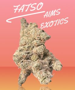 FATSO 3.5g INDICA EXOTICS 36%THC🏆🏆(AIMS) RARE