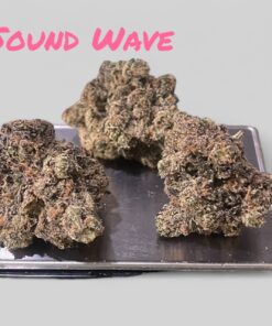 SOUND WAVE 🌪️🌪️3.5 g  37%THC HYBRID by (PERMANENT HOLIDAY) 🔥🔥EXOTICS 🏆🏆