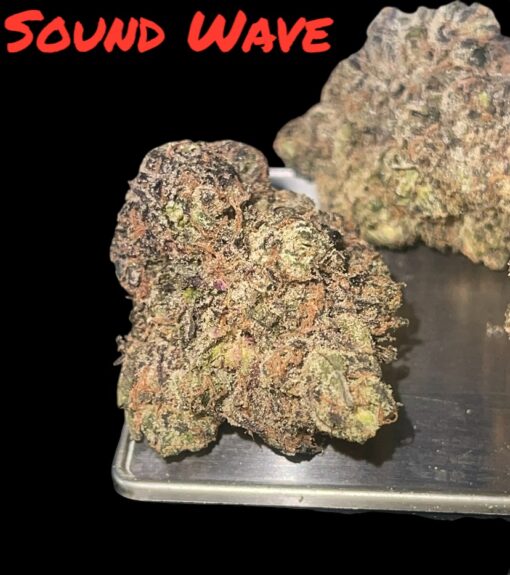 SOUND WAVE 🌪️🌪️3.5 g  37%THC HYBRID by (PERMANENT HOLIDAY) 🔥🔥EXOTICS 🏆🏆