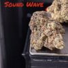 SOUND WAVE 🌪️🌪️3.5 g  37%THC HYBRID by (PERMANENT HOLIDAY) 🔥🔥EXOTICS 🏆🏆