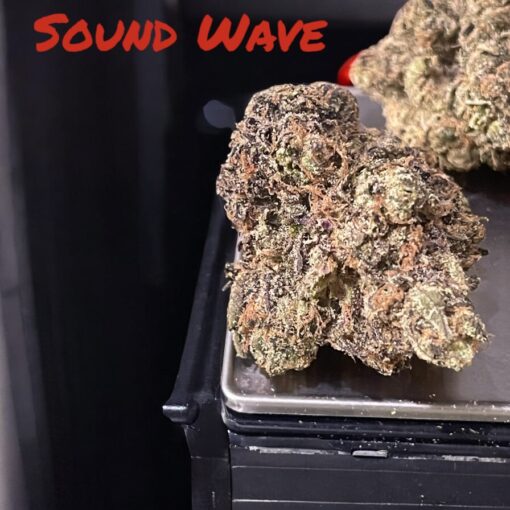 SOUND WAVE 🌪️🌪️3.5 g  37%THC HYBRID by (PERMANENT HOLIDAY) 🔥🔥EXOTICS 🏆🏆