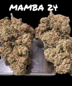 MAMBA 🖤24 INDICA 35%THC  🔥🏆🔥🏆 EXOTICS on SALE