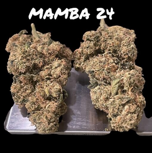MAMBA 🖤24 INDICA 35%THC  🔥🏆🔥🏆 EXOTICS on SALE
