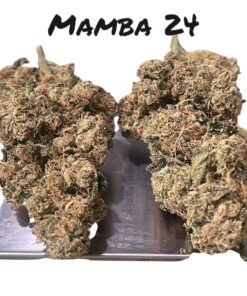 MAMBA 🖤24 INDICA 35%THC  🔥🏆🔥🏆 EXOTICS on SALE