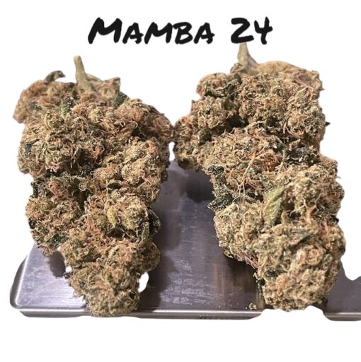 MAMBA 🖤24 INDICA 35%THC  🔥🏆🔥🏆 EXOTICS on SALE