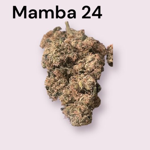 MAMBA 🖤24 INDICA 35%THC  🔥🏆🔥🏆 EXOTICS on SALE