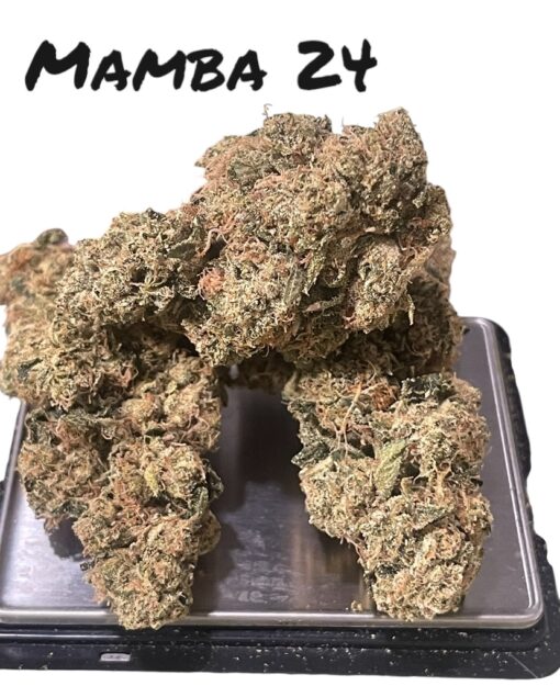 MAMBA 🖤24 INDICA 35%THC  🔥🏆🔥🏆 EXOTICS on SALE