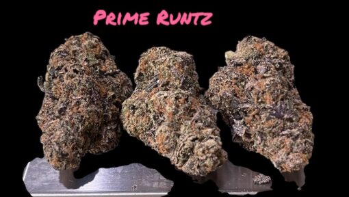 PRIME RUNTZ 3.5grams HYBRID 31% THC 🔥🔥