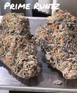 PRIME RUNTZ 3.5grams HYBRID 31% THC 🔥🔥