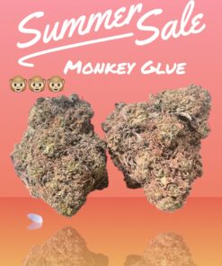 MONKEY 🐵 🐵GLUE 4grams  HYBRID 🏝️🔥SUMMER SALE🏝️🔥 30%THC