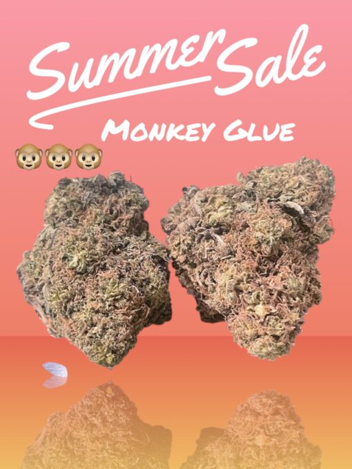 MONKEY 🐵 🐵GLUE 4grams  HYBRID 🏝️🔥SUMMER SALE🏝️🔥 30%THC