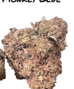MONKEY 🐵 🐵GLUE 4grams  HYBRID 🏝️🔥SUMMER SALE🏝️🔥 30%THC