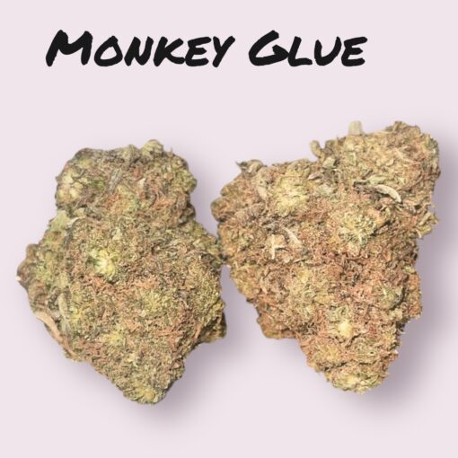 MONKEY 🐵 🐵GLUE 4grams  HYBRID 🏝️🔥SUMMER SALE🏝️🔥 30%THC