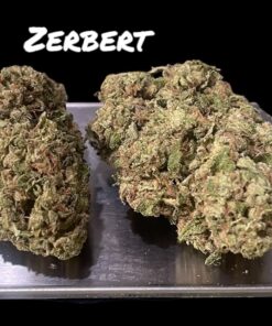 ZERBERT 7GRAMS QUARTER INDICA 28%THC 🔥🔥