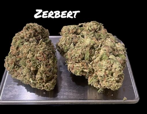 ZERBERT 7GRAMS QUARTER INDICA 28%THC 🔥🔥