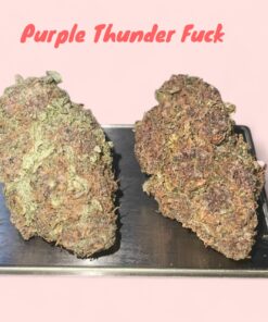 PURPLE THUNDER FUCK3.5 grams SATIVA 30%THC RARE 🏝️🔥SUMMER SALE🏝️🔥