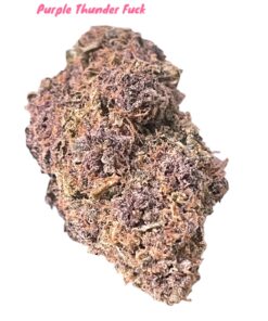 PURPLE THUNDER FUCK3.5 grams SATIVA 30%THC RARE 🏝️🔥SUMMER SALE🏝️🔥