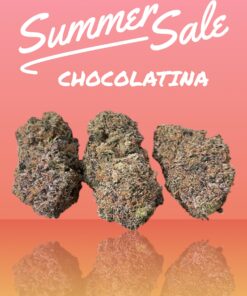 CHOCOLATINA 28grams OZ ON SALE 36% THC SATIVA 🏆🏆 EXOTICS 🔥🔥 RARE