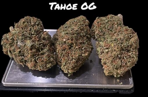 TAHOE OG 28grams Oz On SALE 28%THC INDICA 🔥🔥