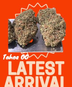TAHOE OG 28grams Oz On SALE 28%THC INDICA 🔥🔥