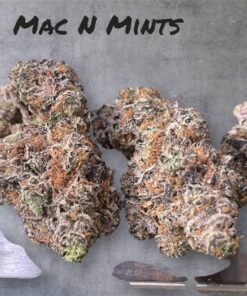 MAC N MINTS 28grams OZ SALE (BACKPACK BOYS) 37%THC INDICA 🏆🔥EXOTICS 🏆🔥