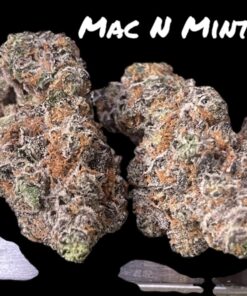 MAC N MINTS 28grams OZ SALE (BACKPACK BOYS) 37%THC INDICA 🏆🔥EXOTICS 🏆🔥