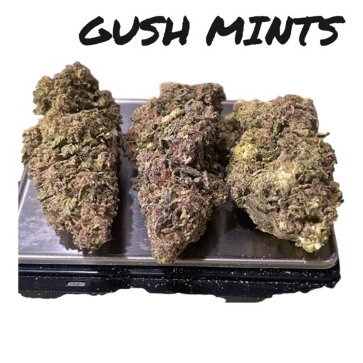 GUSH MINTS28g OZ ON SALE $100 INDICA 25%THC FRESH BATCH 🔥🔥