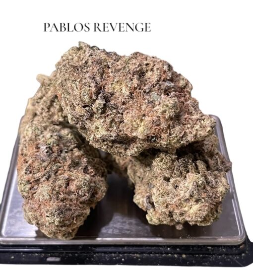 PABLOS REVENGE 4GRAMS  HYBRID 30%THC  🏝️🔥SUMMER SALe🏝️🔥