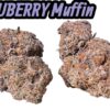 PABLOS REVENGE 4GRAMS  HYBRID 30%THC  🏝️🔥SUMMER SALe🏝️🔥