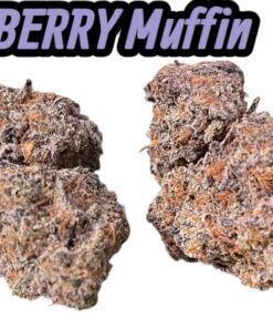BLUEBERRY MUFFIN 4GRAMS INDICA 30%THC 🔥🏝️SUMMER SALE🏝️🔥