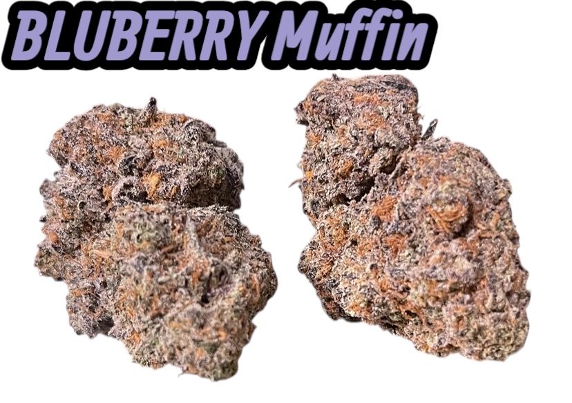 BLUEBERRY MUFFIN 4GRAMS INDICA 30%THC 🔥🏝️SUMMER SALE🏝️🔥 BLUEBERRY MUFFIN 4GRAMS INDICA 30%THC 🔥🏝️SUMMER SALE🏝️🔥