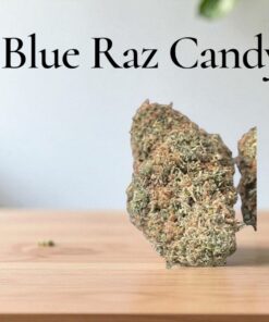 BLUE RAZ CANDY 🍭 🍭28GRAMS OZ  HYBRID On SALE 28%THC 🔥🔥
