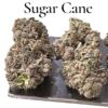 SUGAR CANE 7GRAMS QUARTER HYBRID 28%THC 🔥🔥