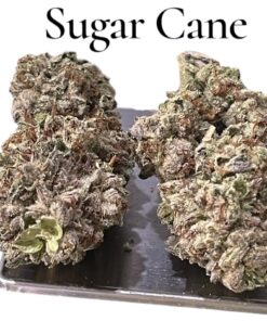 SUGAR CANE 7GRAMS QUARTER HYBRID 28%THC 🔥🔥