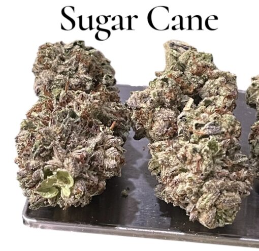 SUGAR CANE 7GRAMS QUARTER HYBRID 28%THC 🔥🔥