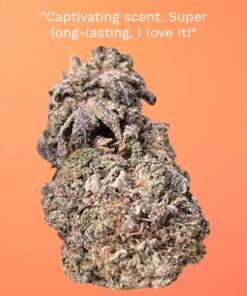 KUSH MINTS 4GRAMS HYBRID 🏝️🔥SUMMER SALE🏝️🔥 30%THC