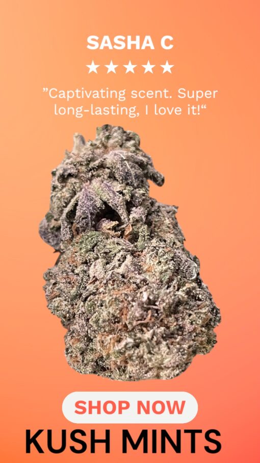 KUSH MINTS 4GRAMS HYBRID 🏝️🔥SUMMER SALE🏝️🔥 30%THC