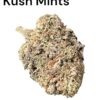 PURPLE ZUSHI RUNTZ 3.5g HYBRID EXOTIC 31%THC 🔥🔥🔥