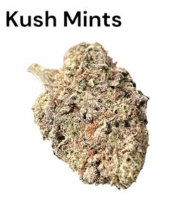 KUSH MINTS 4GRAMS HYBRID 🏝️🔥SUMMER SALE🏝️🔥 30%THC