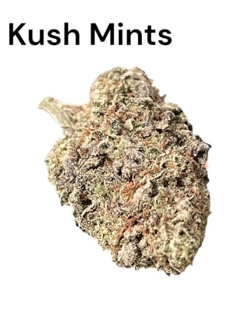 KUSH MINTS 4GRAMS HYBRID 🏝️🔥SUMMER SALE🏝️🔥 30%THC