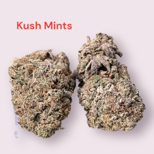 KUSH MINTS 4GRAMS HYBRID 🏝️🔥SUMMER SALE🏝️🔥 30%THC