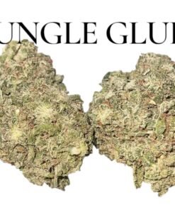 JUNGLE GLUE 4GRAMS HYBRID 30%THC 🏝️🔥SUMMER SALE🏝️🔥