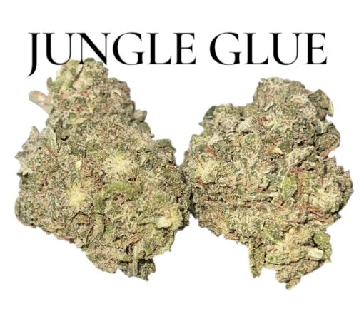 JUNGLE GLUE 4GRAMS HYBRID 30%THC 🏝️🔥SUMMER SALE🏝️🔥