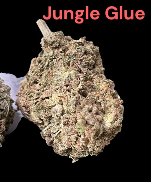 JUNGLE GLUE 4GRAMS HYBRID 30%THC 🏝️🔥SUMMER SALE🏝️🔥