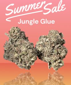 JUNGLE GLUE 4GRAMS HYBRID 30%THC 🏝️🔥SUMMER SALE🏝️🔥
