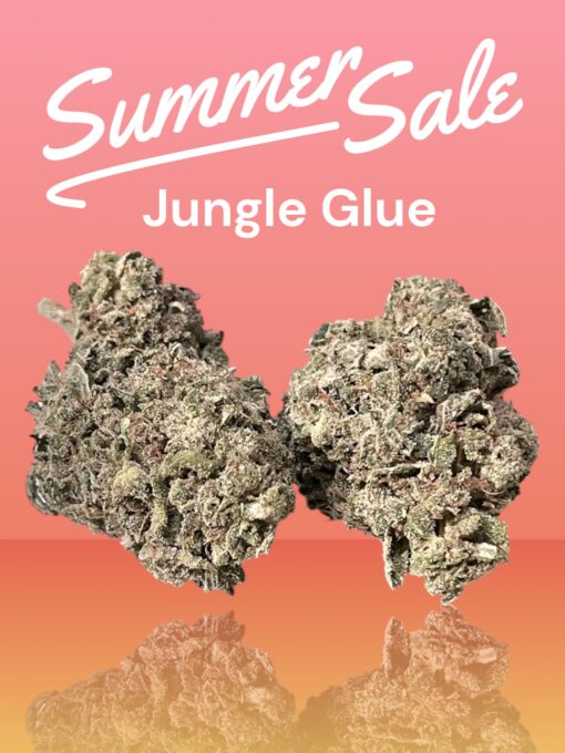 JUNGLE GLUE 4GRAMS HYBRID 30%THC 🏝️🔥SUMMER SALE🏝️🔥