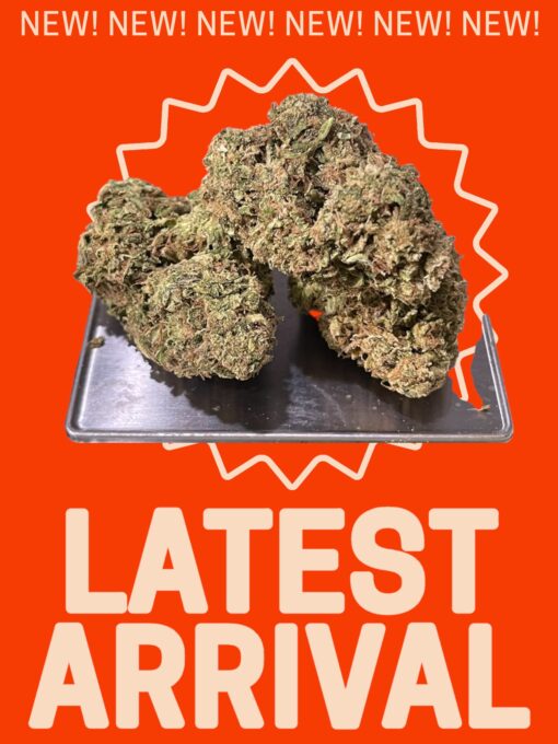 GMO 28g OZ INDICA ON SALE 29%THC